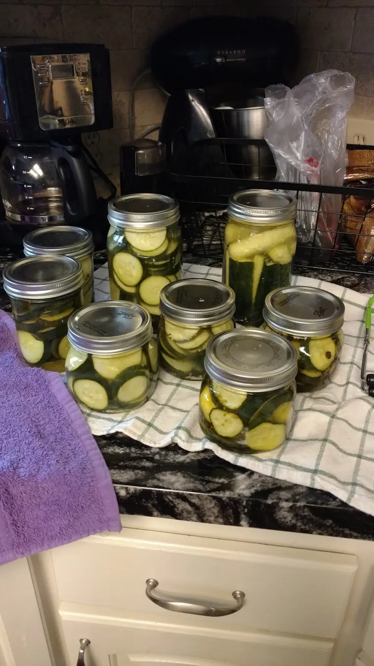 Not All Salt Belongs in Your Brine: The Pickling Science Every Home Preserver Needs to Know